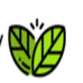 NooBrew logo