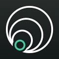 Nordic Angels logo
