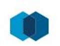 Nordic Spirit logo