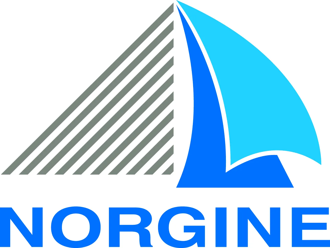 Norgine logo