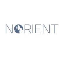 Norient Advisors logo