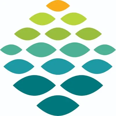 Northern Light Health logo