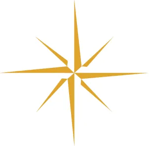 North Mill Capital logo