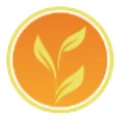 Novus Green