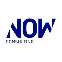 NOW Consulting logo