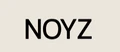 Noyz logo