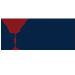 Northstar Group logo