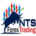 NTS Forex Trading logo
