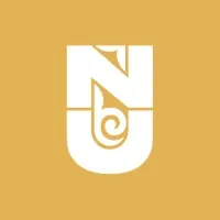 Nazarbayev University logo