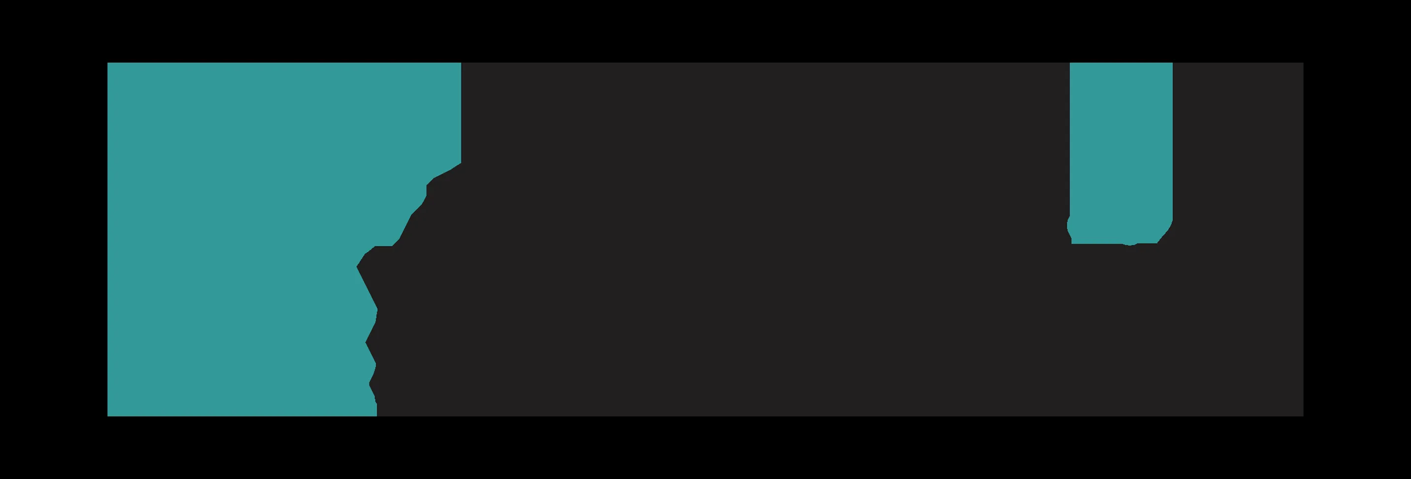 Nube iO logo