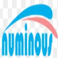 Numinous Technology