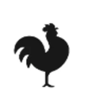 Num Pang Kitchen logo