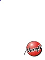 Nusoft logo
