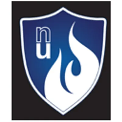Nuspire Networks logo
