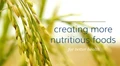 Nutraceutical Innovations
