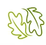 Oakeson Steiner logo