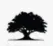 Oaklane Capital