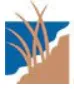 OceanPoint Insurance logo