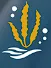 Ocean Rainforest logo