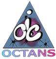 Octans It Consulting