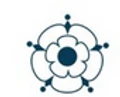 Ohana 857