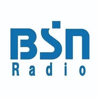 BSN Niigata Broadcasting logo