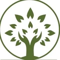 OliveQSol