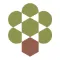 Olive Tree Capital logo
