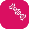 OneHealth Solutions