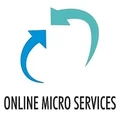Online Micro