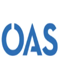 Online Automotive Solutions logo