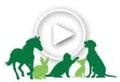 Onlinepethealth logo