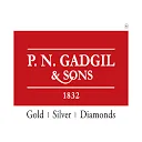 P N Gadgil & Sons logo
