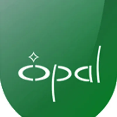 Opal Clocks