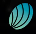 Opalina