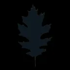 Openleaf