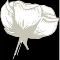 OptCotton logo