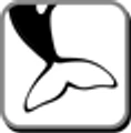 OpusCDM