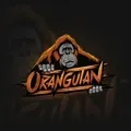 Orangutan