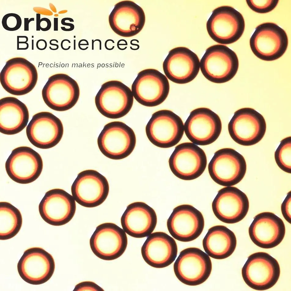 Orbis Biosciences logo