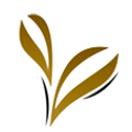 Orchid Laminates