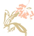 Orchid Overseas