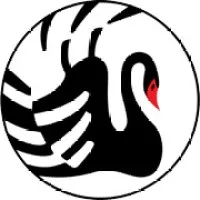 Orient BlackSwan logo