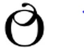 Orient Textile Mills logo