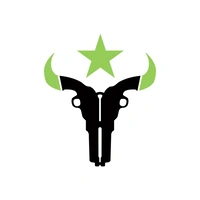 Houston Outlaws logo