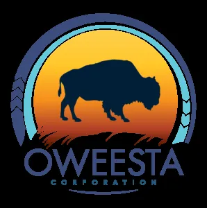 Oweesta logo