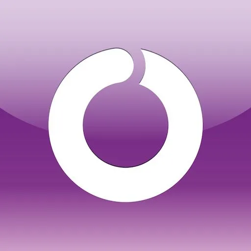 OWise logo