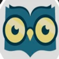 Owl Eyes logo