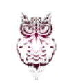 Owl Me logo