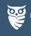 Owlint logo